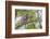 USA, Wyoming,  recently fledged Great Horned Owl roosts in a cottonwood tree.-Elizabeth Boehm-Framed Photographic Print