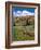 USA, Wyoming. Red Hills, Bridger Teton National Forest.-Judith Zimmerman-Framed Photographic Print