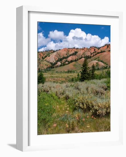 USA, Wyoming. Red Hills, Bridger Teton National Forest.-Judith Zimmerman-Framed Photographic Print