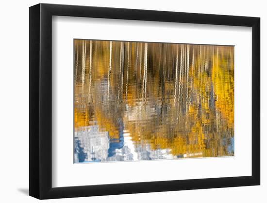 USA, Wyoming. Reflection of mountains and aspen at the Oxbow, Grand Teton National Park.-Judith Zimmerman-Framed Photographic Print