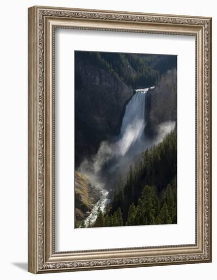 USA, Wyoming. Shadows and mist at Lower Yellowstone Falls, Yellowstone National Park.-Judith Zimmerman-Framed Photographic Print