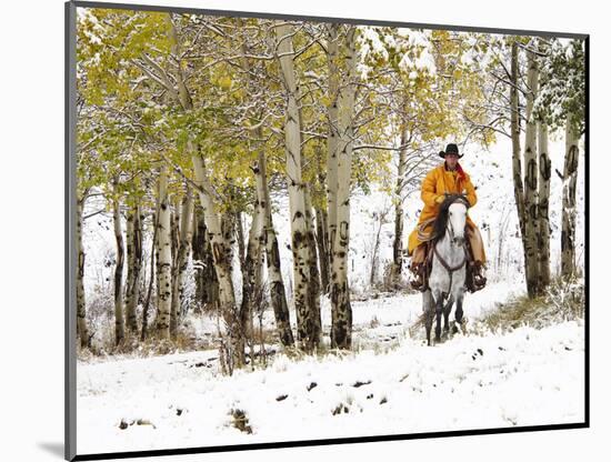 USA, Wyoming, Shell, Big Horn Mountains, Cowboys riding through with fresh snowfall-Terry Eggers-Mounted Photographic Print