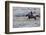 USA, Wyoming, Shell, Cowboy at Full Gallop Riding the Range-Terry Eggers-Framed Photographic Print