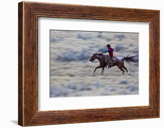 USA, Wyoming, Shell, Cowboy at Full Gallop Riding the Range-Terry Eggers-Framed Photographic Print