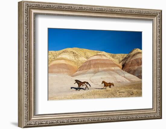 USA, Wyoming, Shell, Heard of Horses Running along the Painted Hills of the Big Horn Mountains-Terry Eggers-Framed Photographic Print