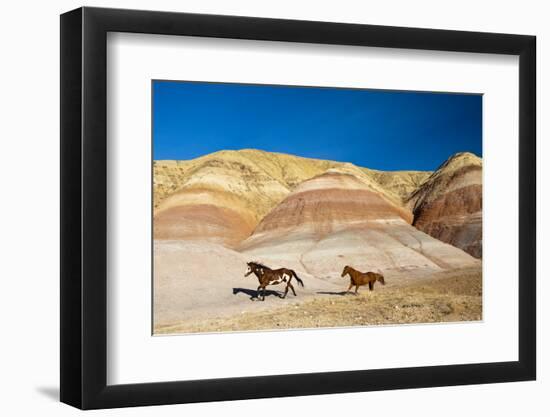 USA, Wyoming, Shell, Heard of Horses Running along the Painted Hills of the Big Horn Mountains-Terry Eggers-Framed Photographic Print