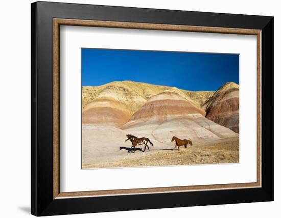 USA, Wyoming, Shell, Heard of Horses Running along the Painted Hills of the Big Horn Mountains-Terry Eggers-Framed Photographic Print