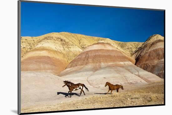 USA, Wyoming, Shell, Heard of Horses Running along the Painted Hills of the Big Horn Mountains-Terry Eggers-Mounted Photographic Print
