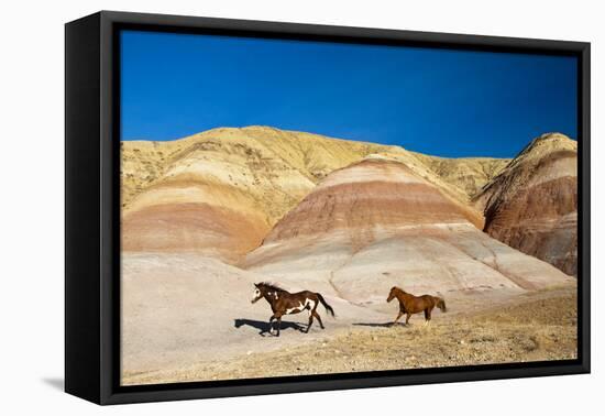 USA, Wyoming, Shell, Heard of Horses Running along the Painted Hills of the Big Horn Mountains-Terry Eggers-Framed Premier Image Canvas