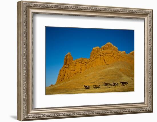 USA, Wyoming, Shell, Heard of Horses Running along the Red Rock hills-Terry Eggers-Framed Photographic Print