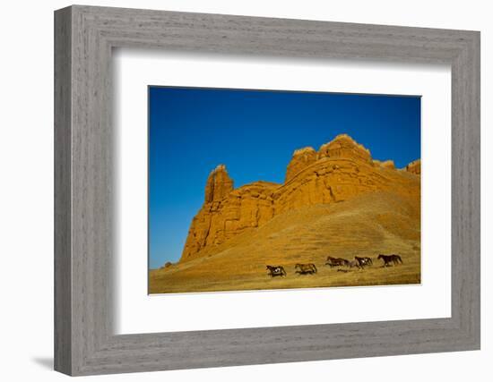 USA, Wyoming, Shell, Heard of Horses Running along the Red Rock hills-Terry Eggers-Framed Photographic Print