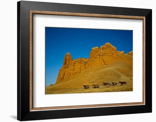 USA, Wyoming, Shell, Heard of Horses Running along the Red Rock hills-Terry Eggers-Framed Photographic Print