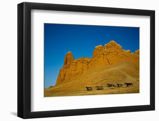 USA, Wyoming, Shell, Heard of Horses Running along the Red Rock hills-Terry Eggers-Framed Photographic Print