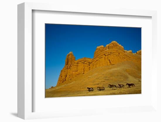 USA, Wyoming, Shell, Heard of Horses Running along the Red Rock hills-Terry Eggers-Framed Photographic Print