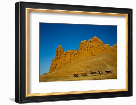 USA, Wyoming, Shell, Heard of Horses Running along the Red Rock hills-Terry Eggers-Framed Photographic Print