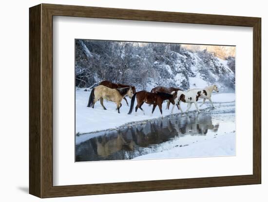 USA, Wyoming, Shell, Horses Crossing the Creek-Hollice Looney-Framed Photographic Print