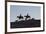 USA, Wyoming, Shell, The Hideout Ranch, Cowboys, Horses and Dogs in Early Light-Hollice Looney-Framed Premium Photographic Print