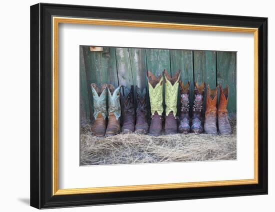 Usa, Wyoming, Shell, The Hideout Ranch, Five Pairs of Cowboy Boots-Hollice-Framed Photographic Print