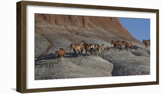 USA, Wyoming, Shell, The Hideout Ranch, Horses Walking the Hillside-Hollice Looney-Framed Photographic Print