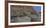 USA, Wyoming, Shell, The Hideout Ranch, Horses Walking the Hillside-Hollice Looney-Framed Photographic Print