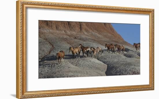 USA, Wyoming, Shell, The Hideout Ranch, Horses Walking the Hillside-Hollice Looney-Framed Photographic Print