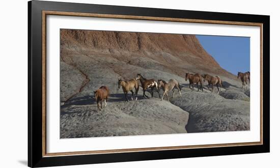 USA, Wyoming, Shell, The Hideout Ranch, Horses Walking the Hillside-Hollice Looney-Framed Photographic Print