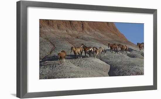 USA, Wyoming, Shell, The Hideout Ranch, Horses Walking the Hillside-Hollice Looney-Framed Photographic Print