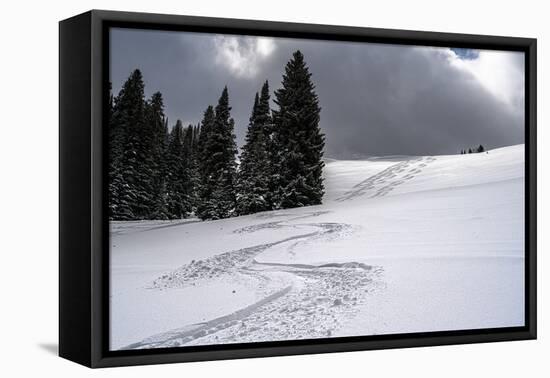 USA, Wyoming. Ski tracks in powder near Jackson Hole.-Howie Garber-Framed Premier Image Canvas