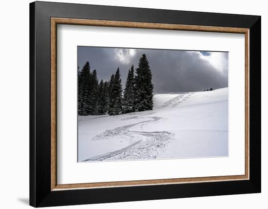 USA, Wyoming. Ski tracks in powder near Jackson Hole.-Howie Garber-Framed Photographic Print