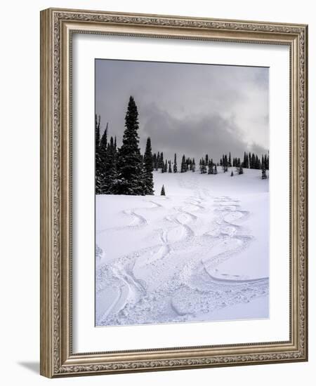 USA, Wyoming. Ski tracks in powder near Jackson Hole.-Howie Garber-Framed Photographic Print