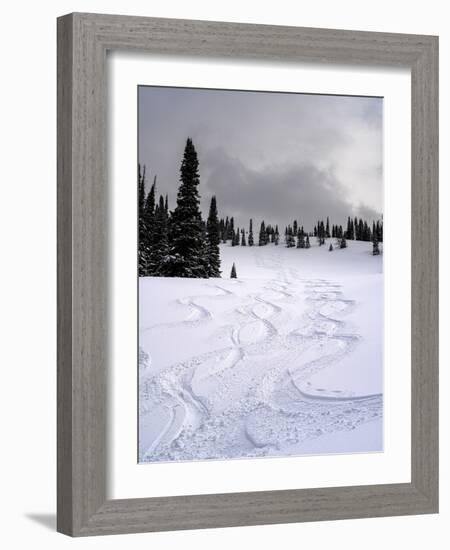 USA, Wyoming. Ski tracks in powder near Jackson Hole.-Howie Garber-Framed Photographic Print