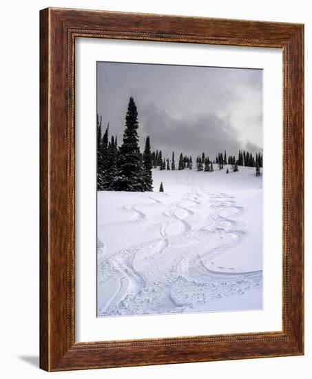 USA, Wyoming. Ski tracks in powder near Jackson Hole.-Howie Garber-Framed Photographic Print