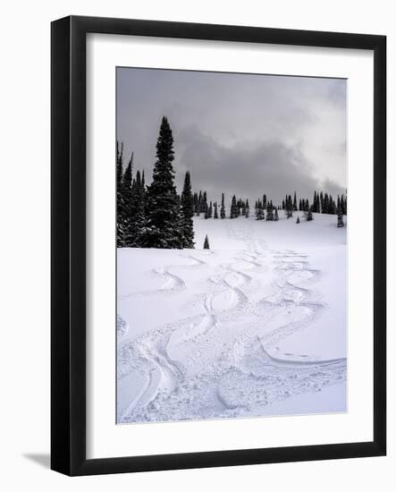 USA, Wyoming. Ski tracks in powder near Jackson Hole.-Howie Garber-Framed Photographic Print