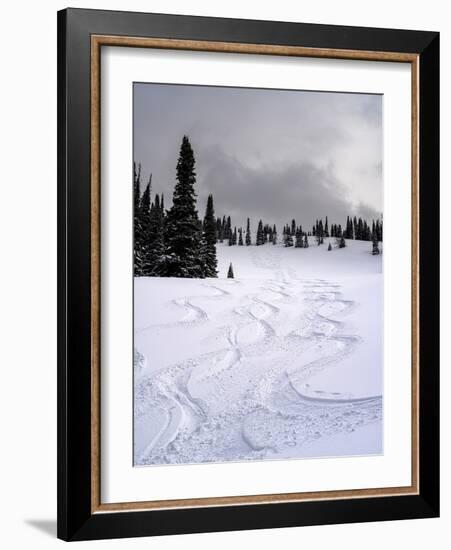 USA, Wyoming. Ski tracks in powder near Jackson Hole.-Howie Garber-Framed Photographic Print