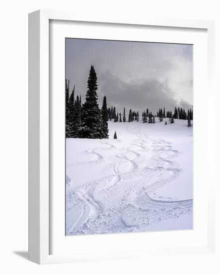 USA, Wyoming. Ski tracks in powder near Jackson Hole.-Howie Garber-Framed Photographic Print