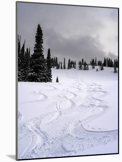 USA, Wyoming. Ski tracks in powder near Jackson Hole.-Howie Garber-Mounted Photographic Print