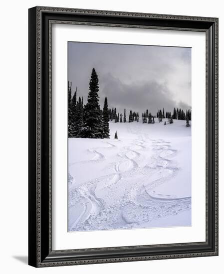 USA, Wyoming. Ski tracks in powder near Jackson Hole.-Howie Garber-Framed Photographic Print