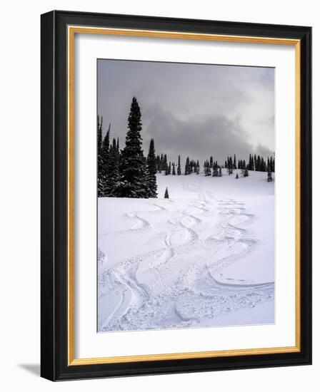 USA, Wyoming. Ski tracks in powder near Jackson Hole.-Howie Garber-Framed Photographic Print