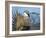 USA, Wyoming, Sublette County. Greater Sage Grouse male stretching his wings.-Elizabeth Boehm-Framed Photographic Print