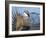 USA, Wyoming, Sublette County. Greater Sage Grouse male stretching his wings.-Elizabeth Boehm-Framed Photographic Print