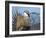 USA, Wyoming, Sublette County. Greater Sage Grouse male stretching his wings.-Elizabeth Boehm-Framed Photographic Print