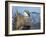 USA, Wyoming, Sublette County. Greater Sage Grouse male stretching his wings.-Elizabeth Boehm-Framed Photographic Print