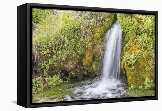 USA, Wyoming, Sublette County. Kendall Warm Springs, a small waterfall flowing over a mossy ledge.-Elizabeth Boehm-Framed Premier Image Canvas