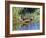 USA, Wyoming, Sublette County. Young duckling stretching alongside a small pond.-Elizabeth Boehm-Framed Photographic Print