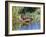 USA, Wyoming, Sublette County. Young duckling stretching alongside a small pond.-Elizabeth Boehm-Framed Photographic Print