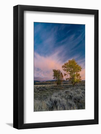 USA, Wyoming. Sunset clouds and cottonwoods, near Antelope Flats and Mormon Row, Grand Teton NP-Judith Zimmerman-Framed Photographic Print