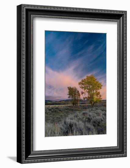 USA, Wyoming. Sunset clouds and cottonwoods, near Antelope Flats and Mormon Row, Grand Teton NP-Judith Zimmerman-Framed Photographic Print