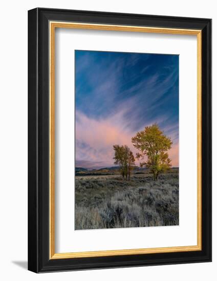 USA, Wyoming. Sunset clouds and cottonwoods, near Antelope Flats and Mormon Row, Grand Teton NP-Judith Zimmerman-Framed Photographic Print