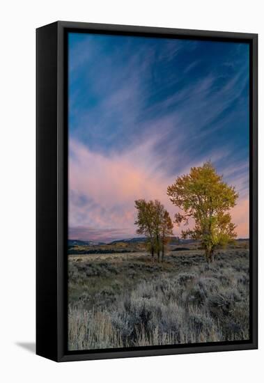 USA, Wyoming. Sunset clouds and cottonwoods, near Antelope Flats and Mormon Row, Grand Teton NP-Judith Zimmerman-Framed Premier Image Canvas