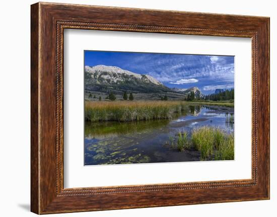 USA, Wyoming. White Rock Mountain and Squaretop Peak above Green River wetland-Howie Garber-Framed Photographic Print